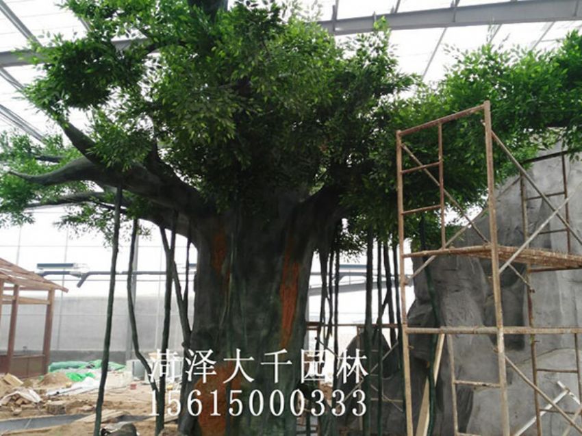 點擊查看詳細信息<br>標題：假樹 閱讀次數(shù)：1370