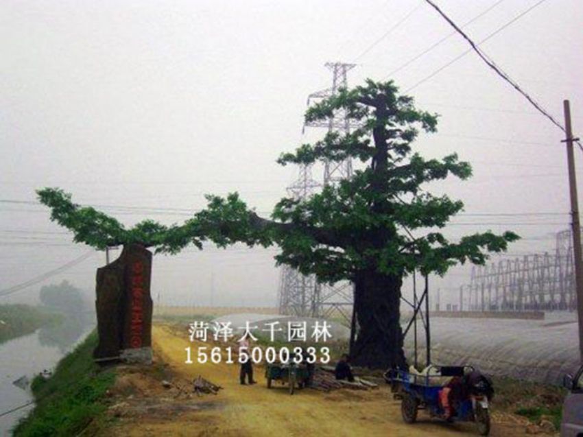 點(diǎn)擊查看詳細(xì)信息<br>標(biāo)題：假樹 閱讀次數(shù)：1286