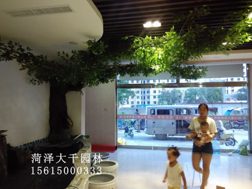 點(diǎn)擊查看詳細(xì)信息<br>標(biāo)題：假樹 閱讀次數(shù)：1327