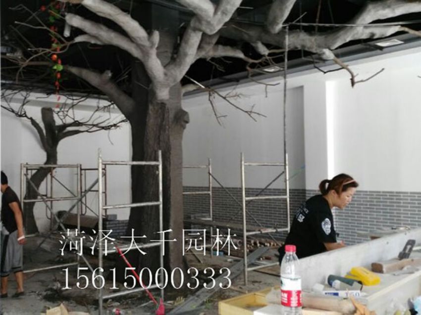 點(diǎn)擊查看詳細(xì)信息<br>標(biāo)題：假樹 閱讀次數(shù)：1305