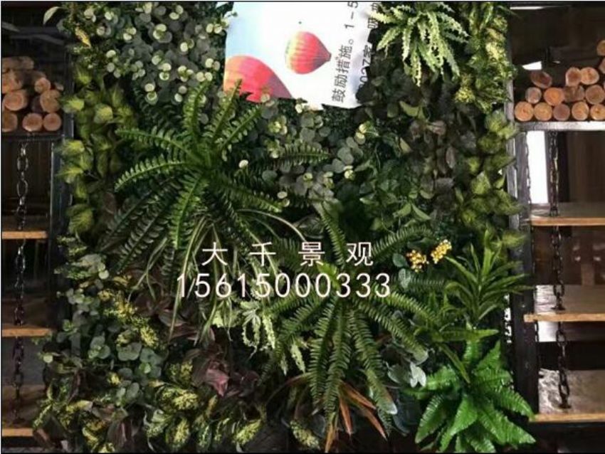 點(diǎn)擊查看詳細(xì)信息<br>標(biāo)題：綠植墻 閱讀次數(shù)：1327