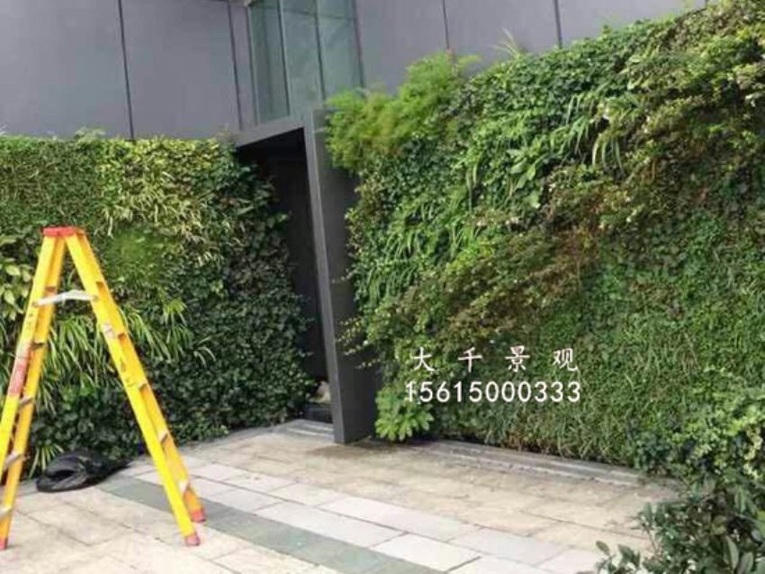 點擊查看詳細信息<br>標題：綠植墻 閱讀次數(shù)：1460