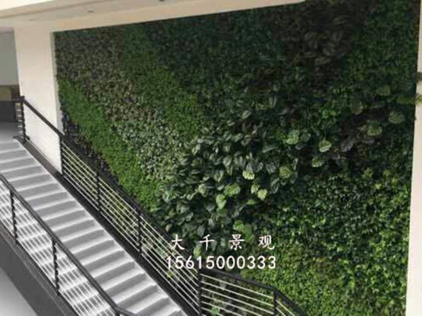點擊查看詳細信息<br>標題：綠植墻 閱讀次數(shù)：1612