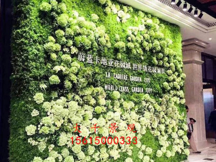點(diǎn)擊查看詳細(xì)信息<br>標(biāo)題：綠植墻 閱讀次數(shù)：1968